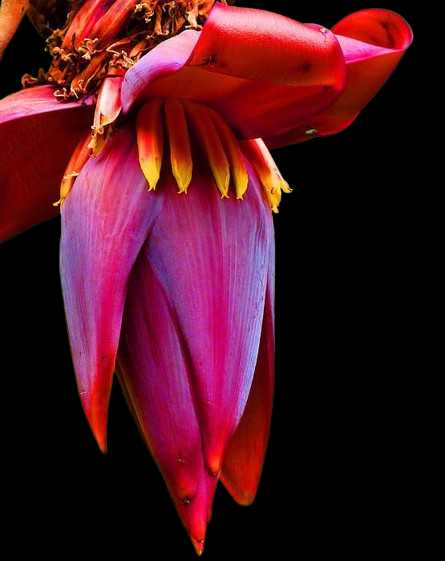 Vegetable Name in english and Hindi